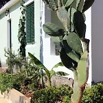 Appartement By The Sea Mudri Dolac, Hvar - 5694 Vrboska