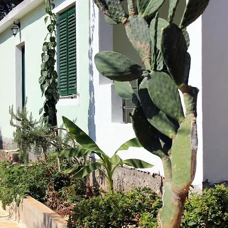 Apartment By The Sea Mudri Dolac, Hvar - 5694 Vrboska